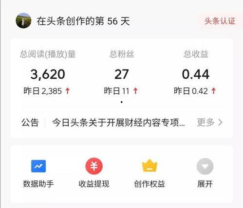 头条收入扣了啥意思,揭秘头条收入扣除背后的秘密
