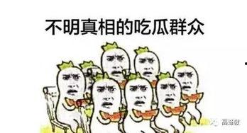吃瓜的修养,品味瓜界，洞察人生