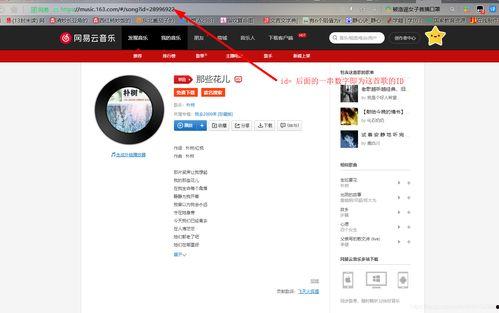 怎么在头条上加音乐,如何在今日头条上添加音乐，提升内容吸引力