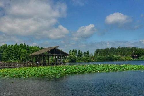 泰州旅游网红打卡景点,探秘这座江南水城的魅力瞬间