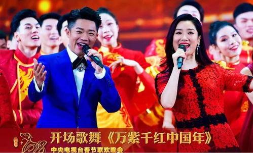 春晚演员爆料最新视频,揭秘幕后精彩瞬间与幕后故事