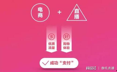 网电商红,揭秘网络流量背后的秘密