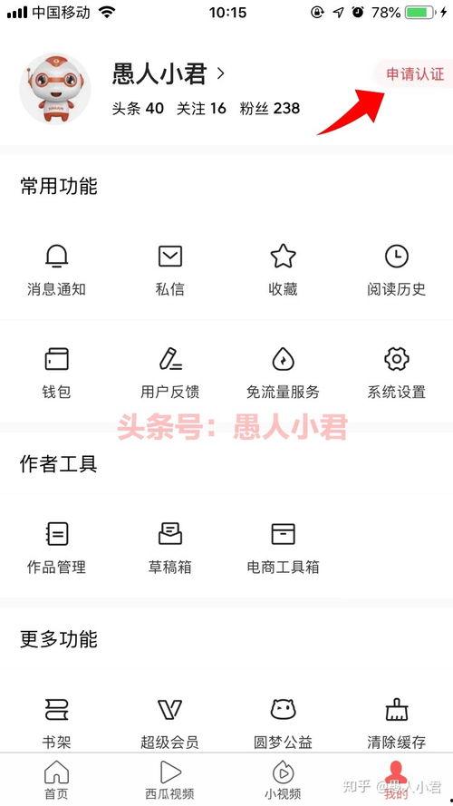 头条申请影视领域的条件,严苛条件下的璀璨梦想之门