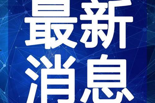 51黑料最新一期视频热门话题,最新一期热门话题深度解析