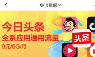 为何头条流量包用不了,“头条流量包无法使用原因解析及解决方案”