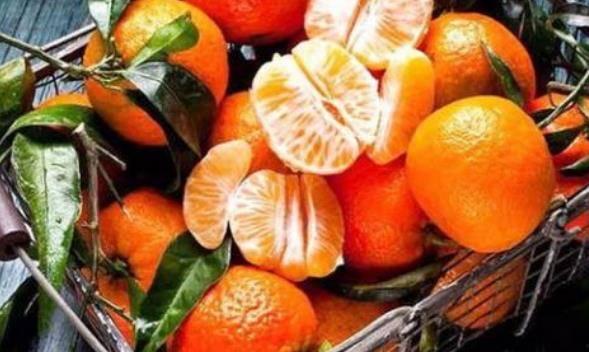 跟着柑橘有瓜吃,探寻瓜果飘香的甜蜜奥秘