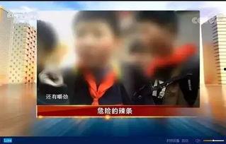 打假黑蛋爆料视频大全,视频大全深度剖析