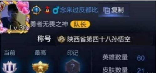 王者起名关于明星