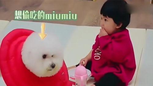 剪头发吵架吃瓜,一场争吵背后的吃瓜盛宴