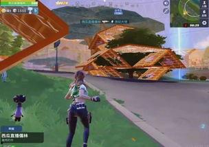 堡垒前线明星名字