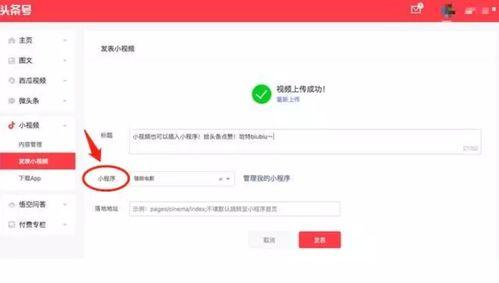 如何找头条的小程序,如何快速找到并使用头条小程序