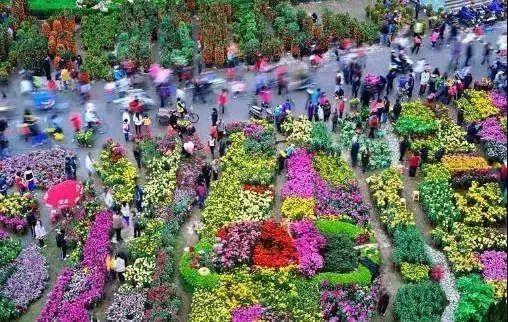 微头条广州花市,繁花似锦，年味浓郁的传统市集盛景